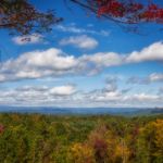 Fall Color © 2017 Virginia Highland Haven Farm Co.