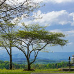 Mountain View © 2017 Virginia Highland Haven Farm Co.