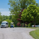 Arrival © 2017 Virginia Highland Haven Farm Co.