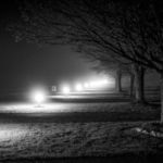 Runway Lights © 2017 Virginia Highland Haven Farm Co.