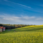 Neighboring Farm © 2017 Virginia Highland Haven Farm Co.