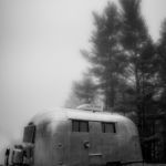 Vintage Fog © 2017 Virginia Highland Haven Farm Co.