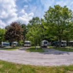 Full Up For a Rally © 2017 Virginia Highland Haven Farm Co.