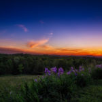 Summer Sunset © 2017 Virginia Highland Haven Farm Co.