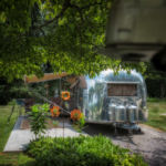 Senior Citizen © 2017 Virginia Highland Haven Farm Co.