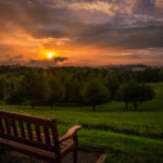 Take a Seat For the Show © 2017 Virginia Highland Haven Farm Co.