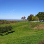 Blue Skies © 2017 Virginia Highland Haven Farm Co.